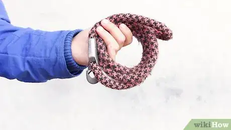 Image titled Walk a Big Dog Step 1