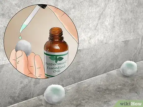 Image titled Keep Mice Out of Your House Step 2