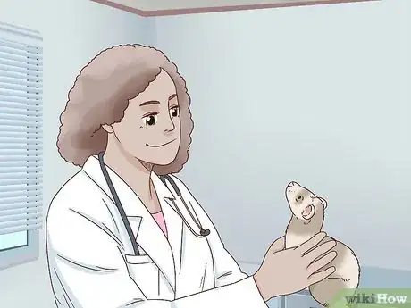 Image titled Diagnose and Treat Epizootic Catarrhal Enteritis in Ferrets Step 5