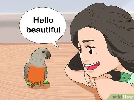 Image titled Handle a Scared Red Bellied Parrot Step 4