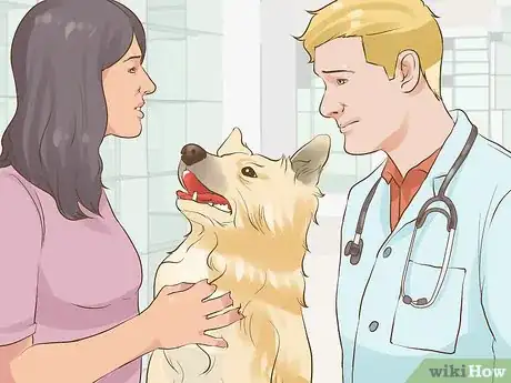 Image titled Include Your Dog in an Emergency Disaster Plan Step 5