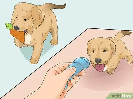Image titled Introduce a New Puppy Step 10