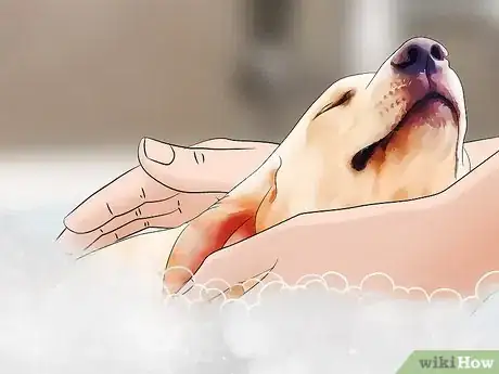 Image titled Prepare a Home for Visitors With Allergies Step 5