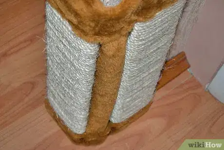 Image titled Get Along With Your Cat Step 12