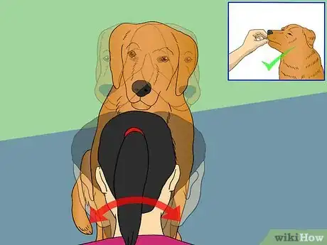 Image titled Train Your Dog to Shake Its Head Step 4
