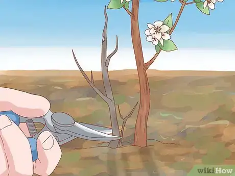 Image titled Prune Jasmine Step 3