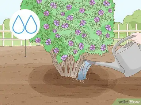 Image titled Care for a Purple Flower Potato Bush Step 7