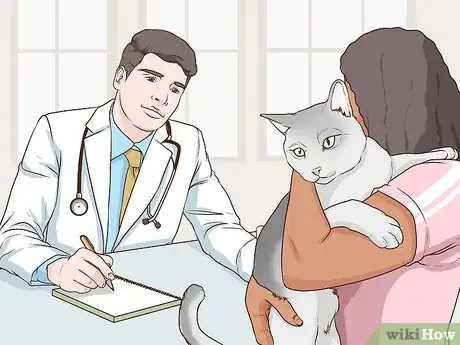 Image titled Take Care of a Burmilla Cat Step 2