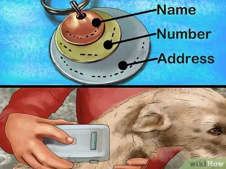 Image titled Keep Your Dog Safe in Extreme Weather Step 1