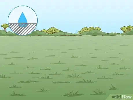 Image titled Start a Tree Farm Step 6