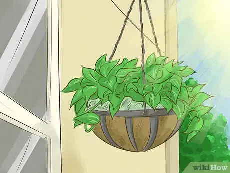 Image titled Choose Outdoor Hanging Plants Step 2