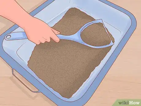 Image titled Be Responsible when You Have a Cat Step 7