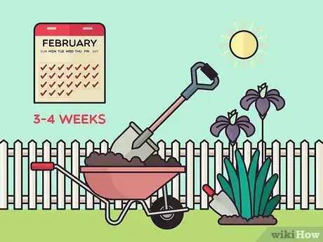 Image titled Store Iris Bulbs Step 17