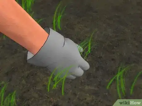 Image titled Make a Seedbed Step 7