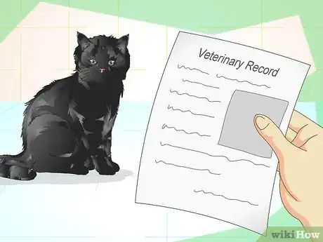 Image titled Tell If a Cat Is Neutered Step 5