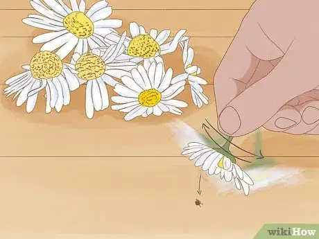 Image titled Harvest Chamomile Step 6