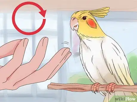 Image titled Train Cockatiels Step 5
