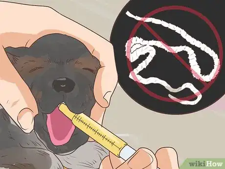 Image titled Prevent Disease in Orphaned Newborn Puppies Step 6