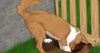 Stop Your Dog from Running Out of the Backyard