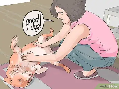 Image titled Enhance Your Dog's Recall Step 8