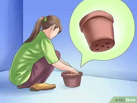 Image titled Winterize Calla Lily Bulbs Step 9