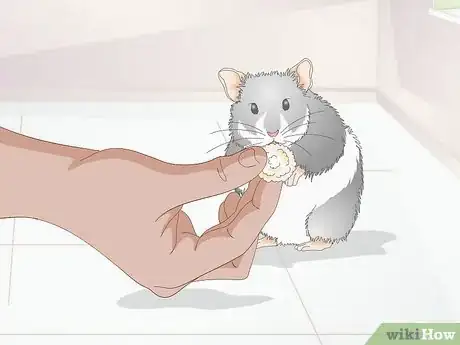 Image titled Deal With a Mean Hamster Step 5