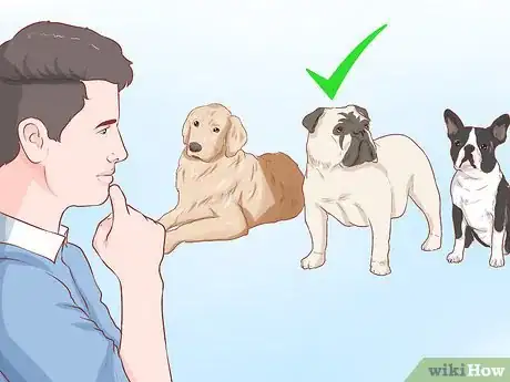 Image titled Foster Shelter Dogs Step 4