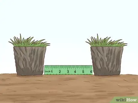 Image titled Plant Grass Plugs Step 2