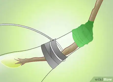 Image titled Get a Pear Into a Wine Bottle Step 11