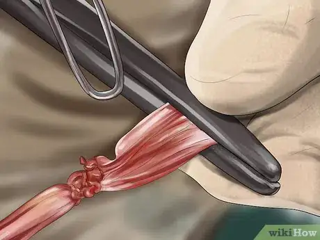 Image titled Help a Dog Suffering from Trauma Step 4