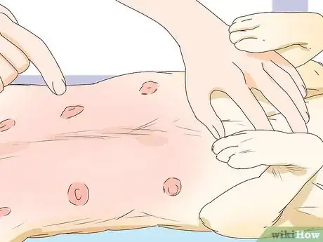 Image titled Tell if a Dog Is Pregnant Step 1