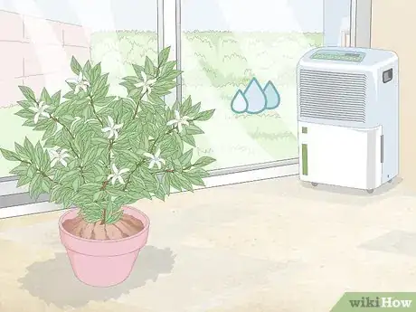 Image titled Prevent Spider Mites Step 5