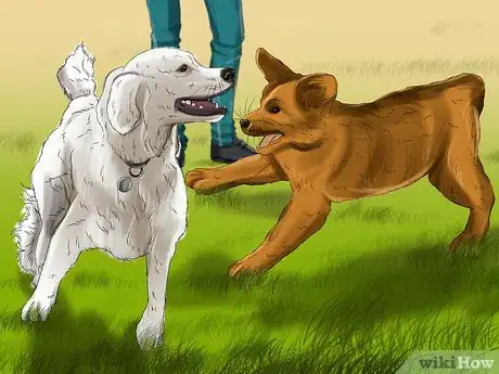 Image titled Introduce a Puppy to a Dog Step 18