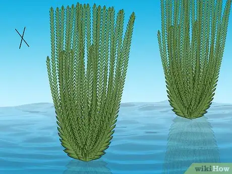 Image titled Plant a Sweet Shrub Step 3Bullet1