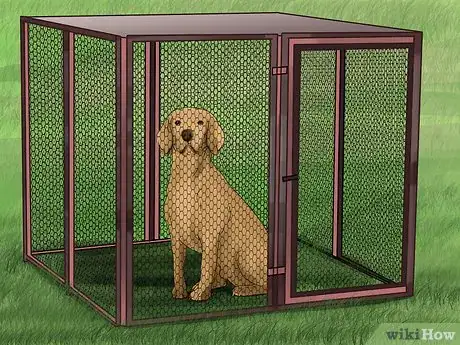 Image titled Treat a Dog for Rabies Step 8