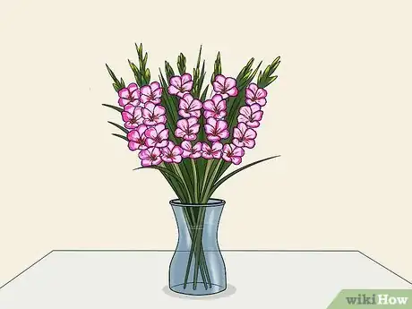 Image titled Cut Gladiolus Step 5