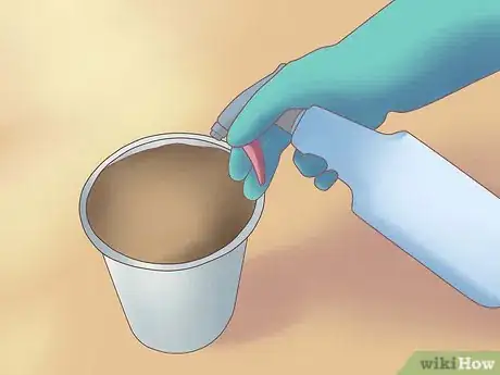 Image titled Grow Ferns Step 6