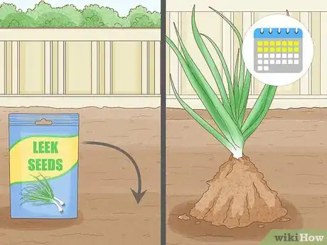 Image titled Grow Vegetables Indoors Step 5