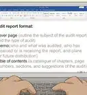 Write an Audit Report