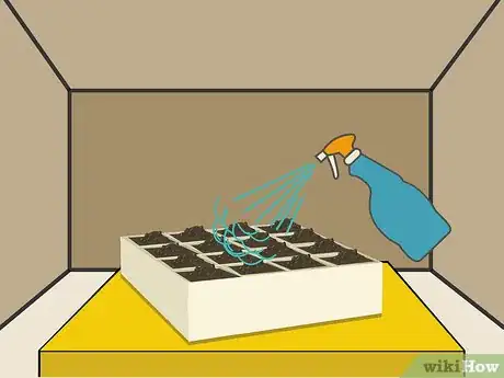 Image titled Grow Chrysanthemums Step 09