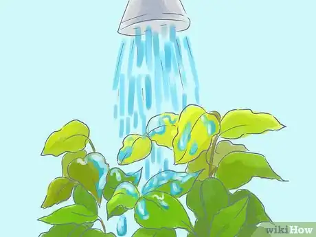 Image titled Plant Bradford Pear Trees Step 21