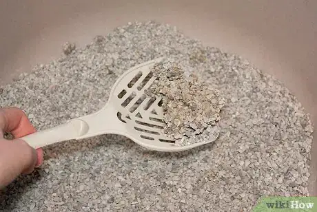 Image titled Get Along With Your Cat Step 11