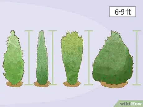 Image titled Grow Boxwood Shrubs Step 3