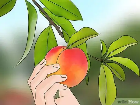 Image titled Keep Rats Away Step 7