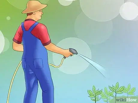 Image titled Grow Chestnut Trees Step 14