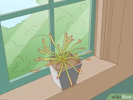 Image titled Raise Carnivorous Plants Step 1