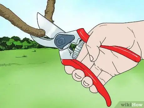 Image titled Buy Basic Garden Tools Step 2