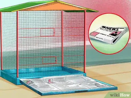 Image titled Prevent Infections in Parakeets Step 5