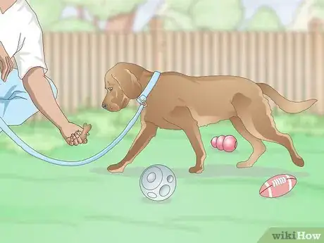 Image titled Teach a Dog to Leave It Step 15