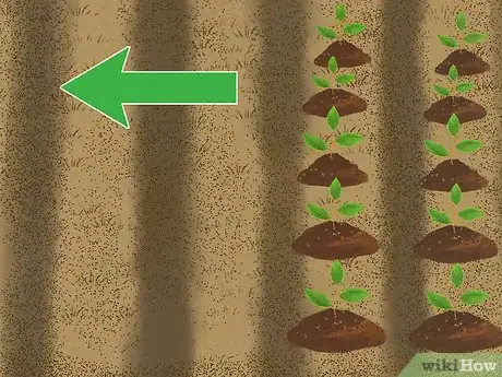 Image titled Replace Your Lawn with Groundcovers Step 11